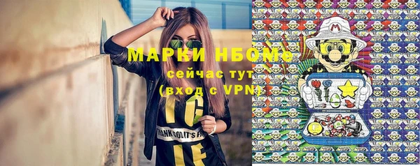 крисы Аркадак